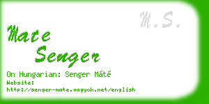 mate senger business card