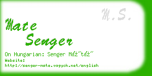 mate senger business card